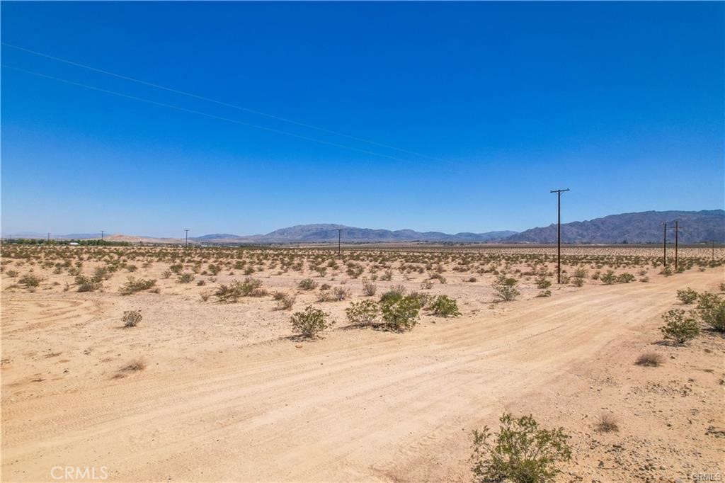 MLS #JT24060723 image #18