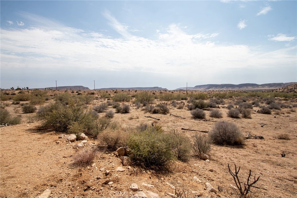 MLS #JT24062869 image #10