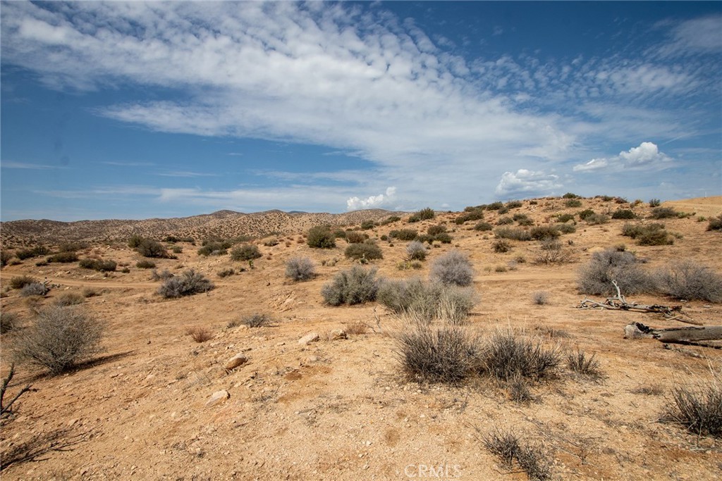 MLS #JT24062869 image #12