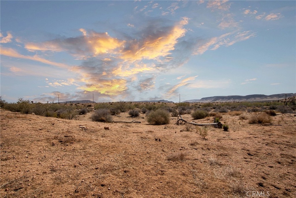 MLS #JT24062869 image #13