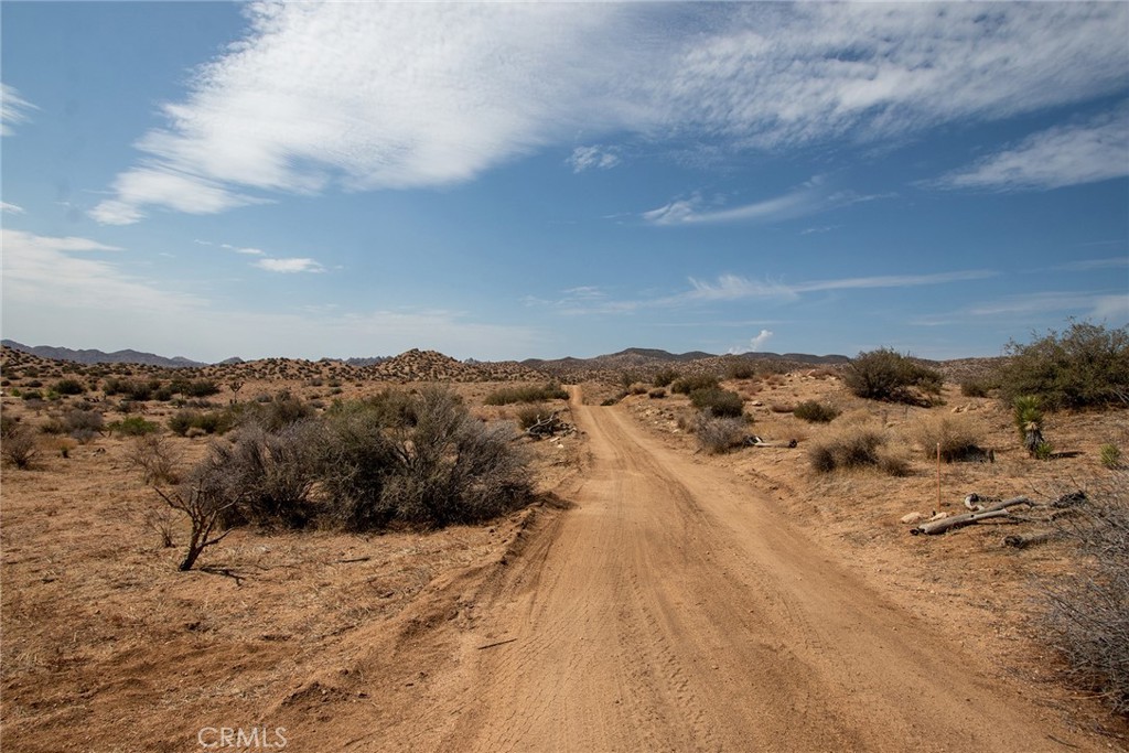 MLS #JT24062869 image #6