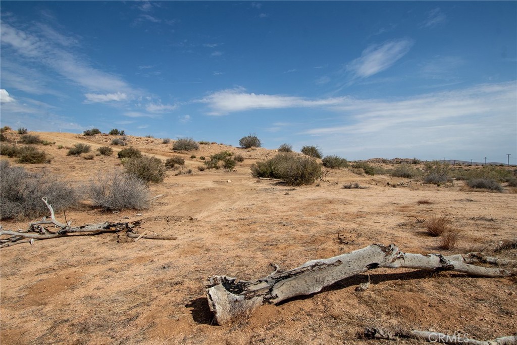 MLS #JT24062869 image #7