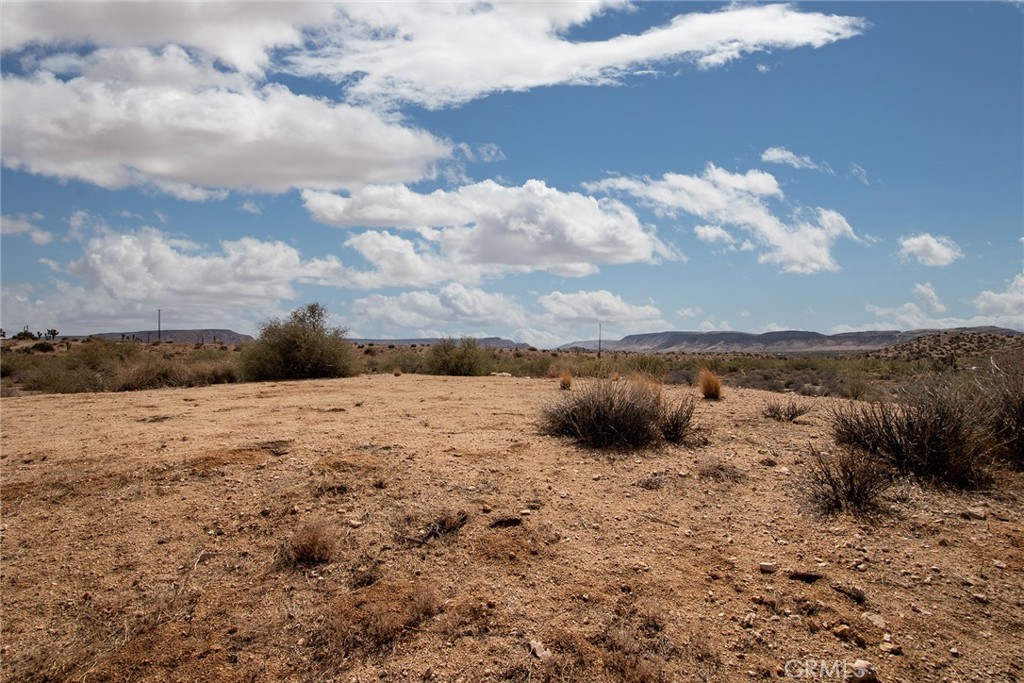 MLS #JT24062869 image #8