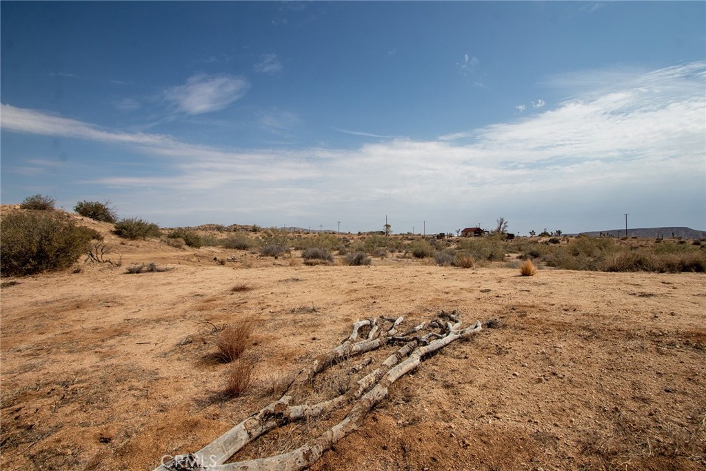 MLS #JT24062869 image #9