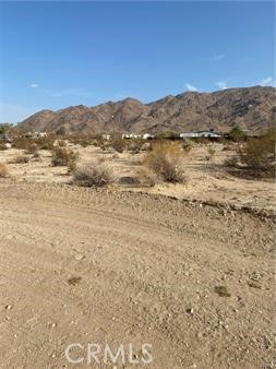 MLS #JT24081035 image #2