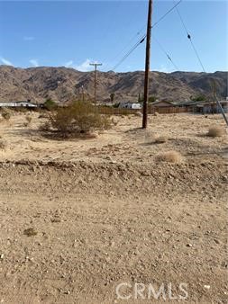 MLS #JT24081035 image #3