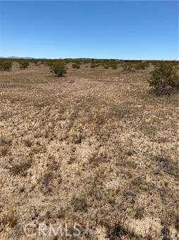 MLS #JT24081039 image #1