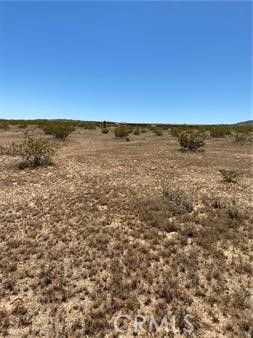 MLS #JT24081039 image #2