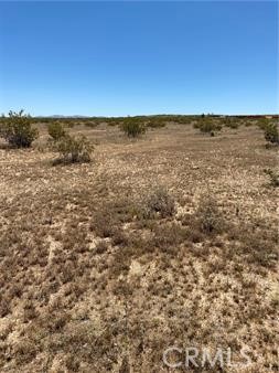 MLS #JT24081039 image #3