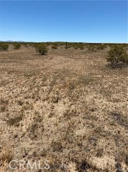 MLS #JT24081050 image #1