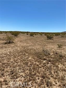 MLS #JT24081050 image #2