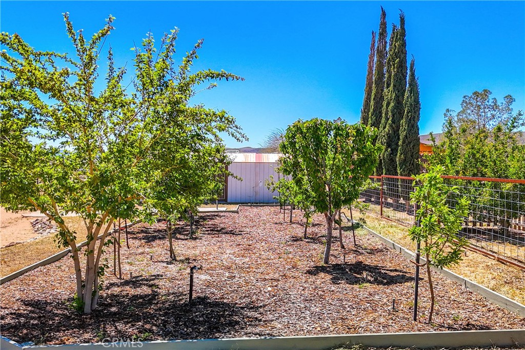 MLS #JT24083314 image #24