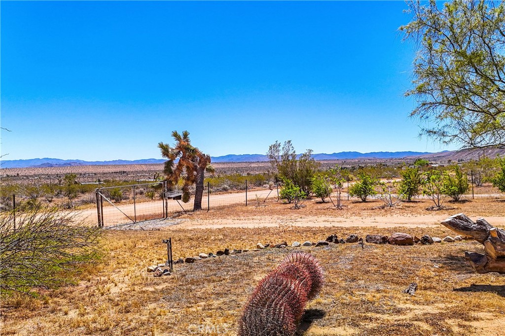 MLS #JT24083314 image #60