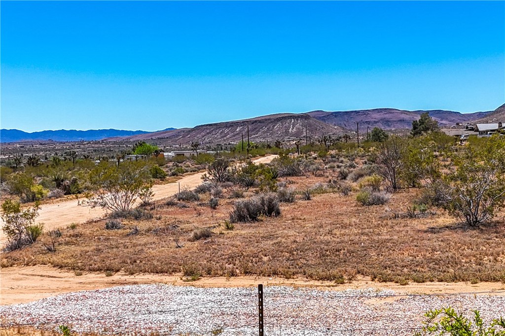 MLS #JT24083314 image #61