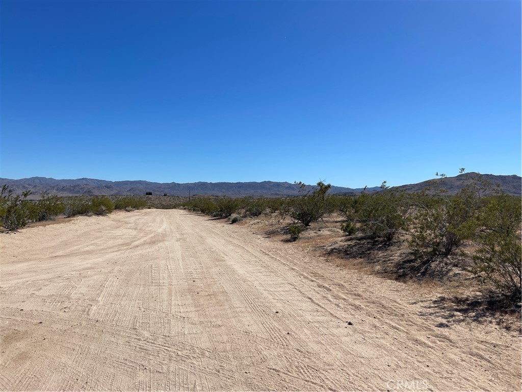 MLS #JT24091345 image #1