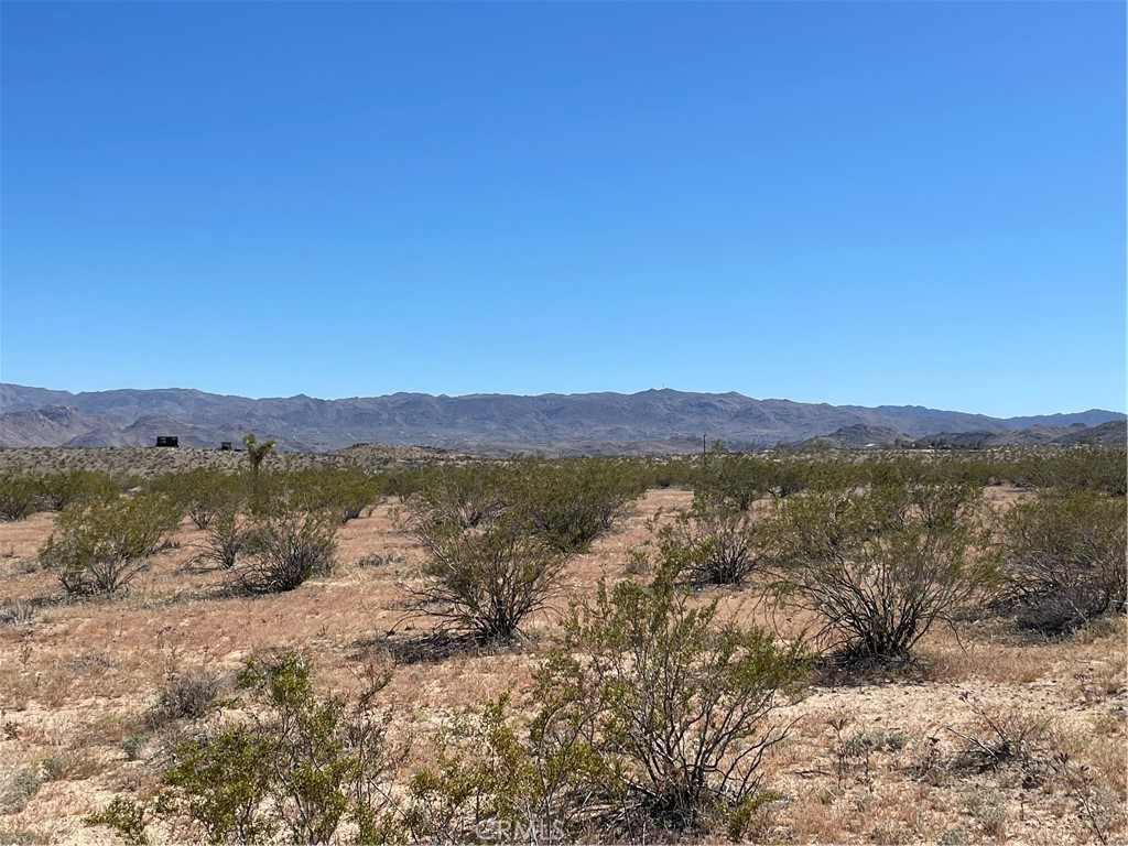 MLS #JT24091345 image #2