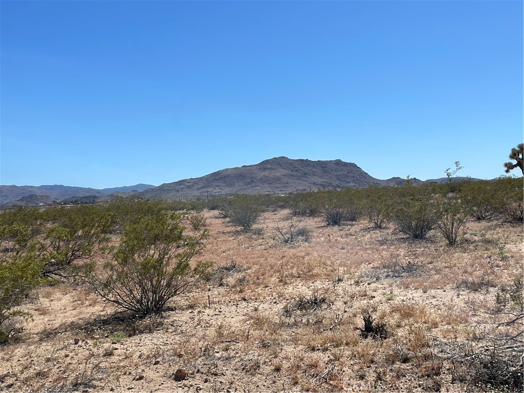 MLS #JT24091345 image #3