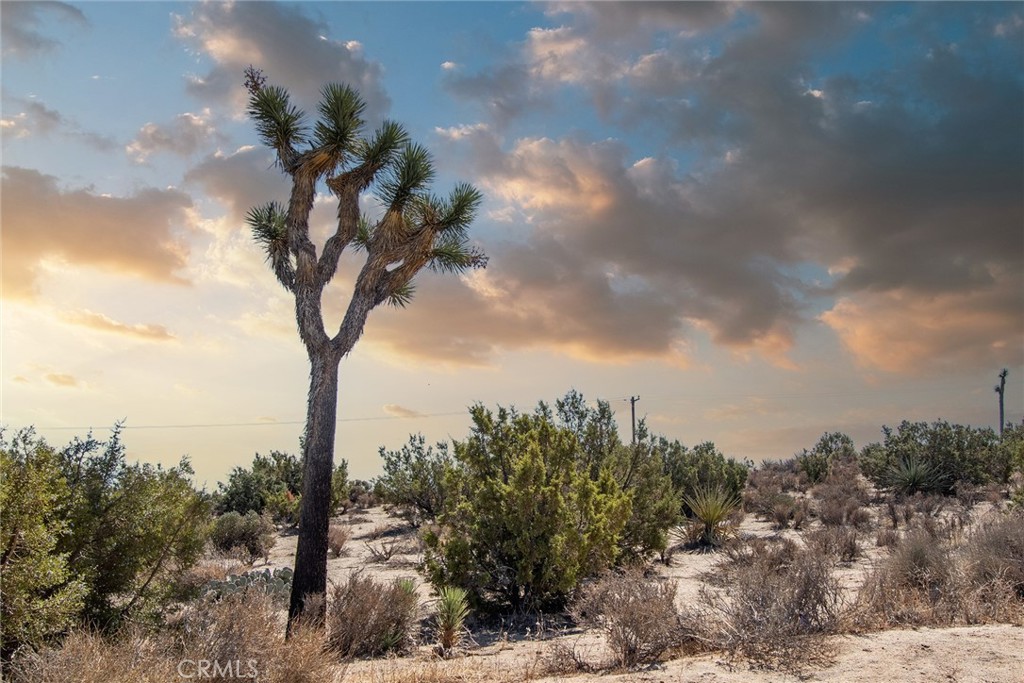 MLS #JT24093355 image #1