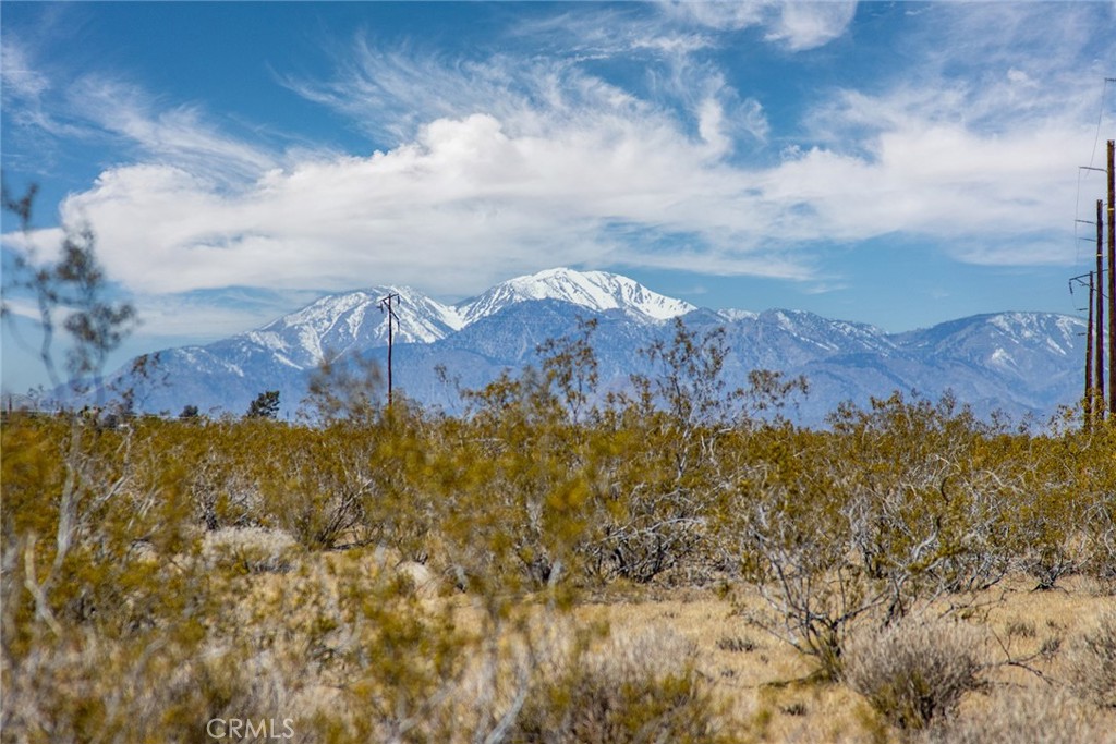 MLS #JT24094360 image #1