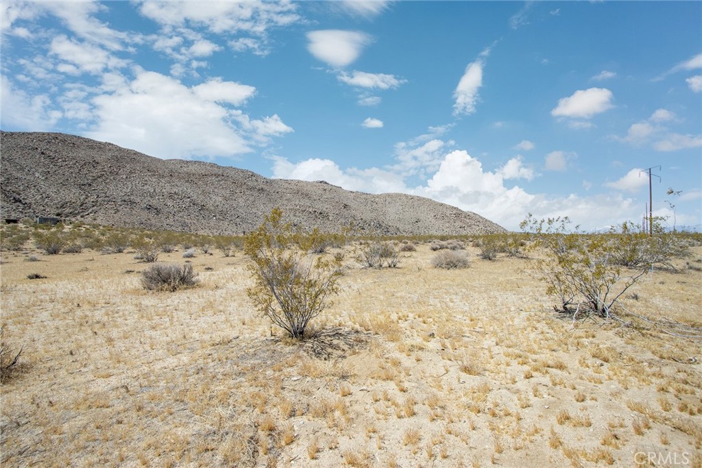 MLS #JT24094360 image #5