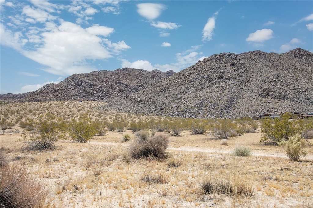 MLS #JT24094363 image #1