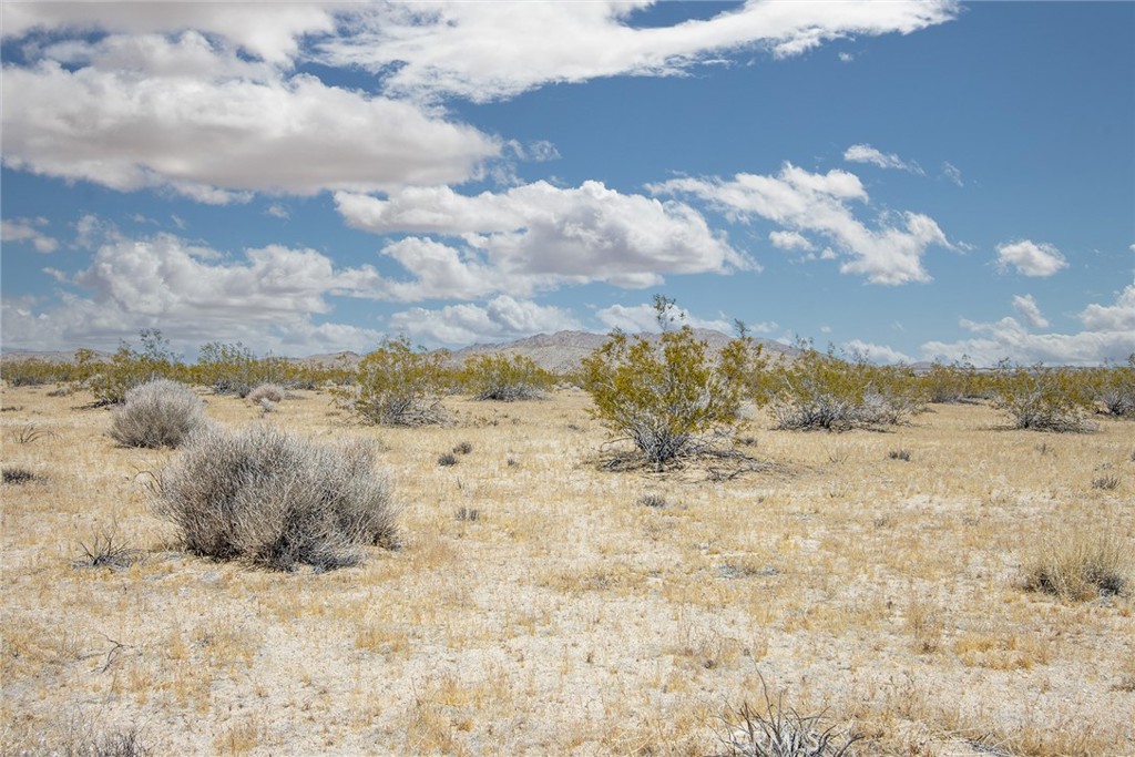 MLS #JT24094363 image #11