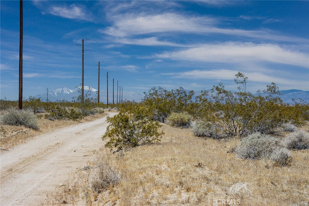 MLS #JT24094363 image #13