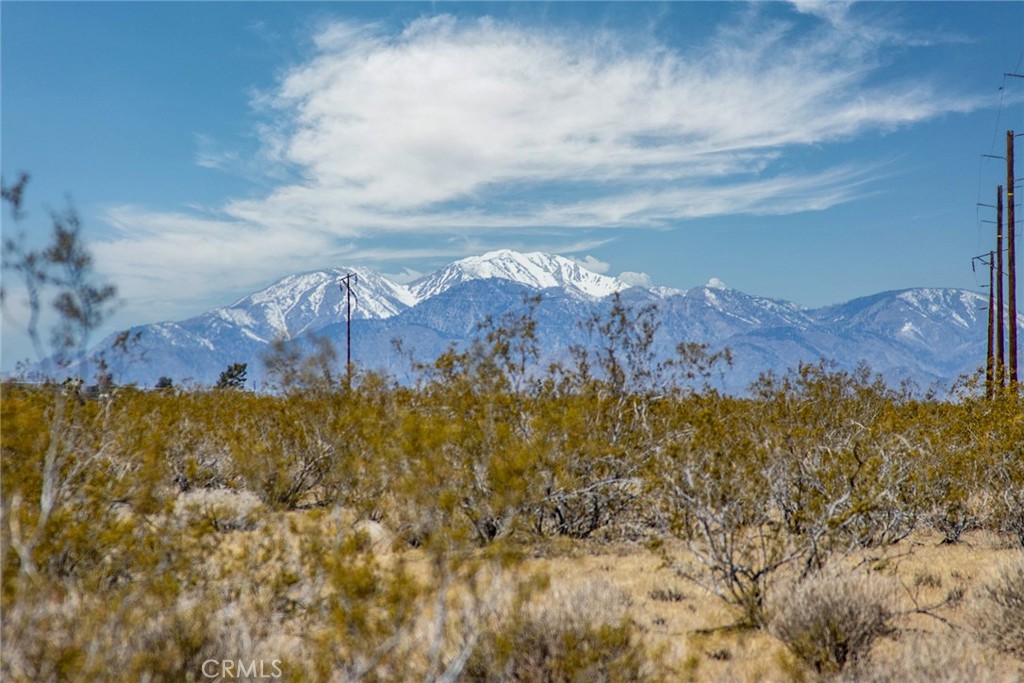 MLS #JT24094363 image #15