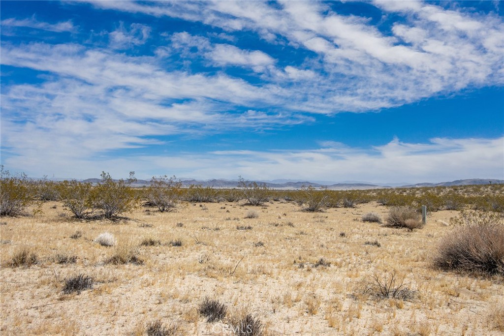 MLS #JT24094363 image #3