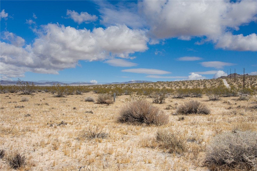 MLS #JT24094363 image #5