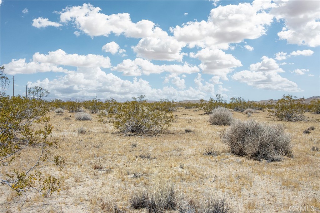 MLS #JT24094363 image #7