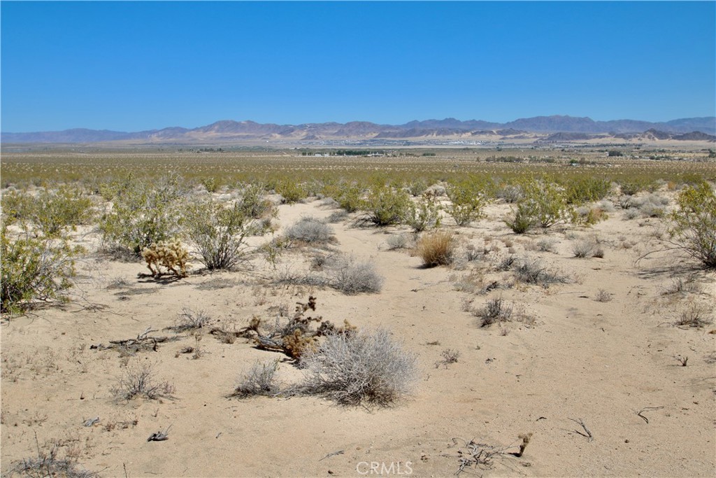 MLS #JT24096232 image #5