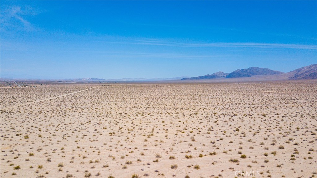 MLS #JT24108219 image #3