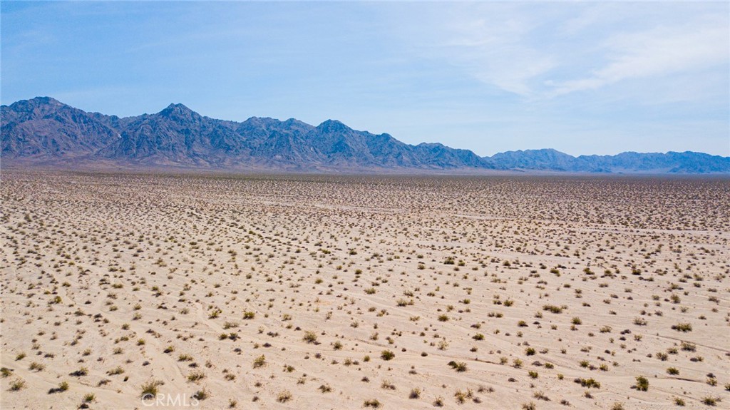 MLS #JT24108219 image #6