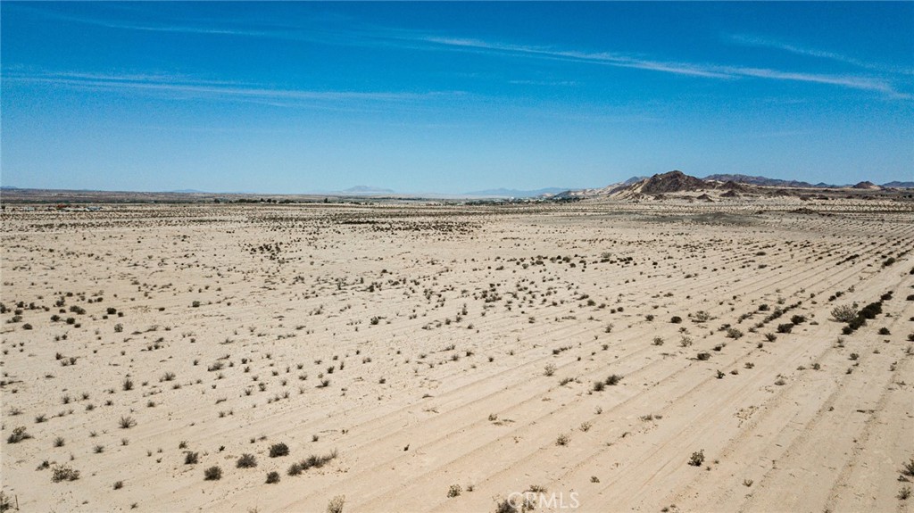 MLS #JT24108412 image #6