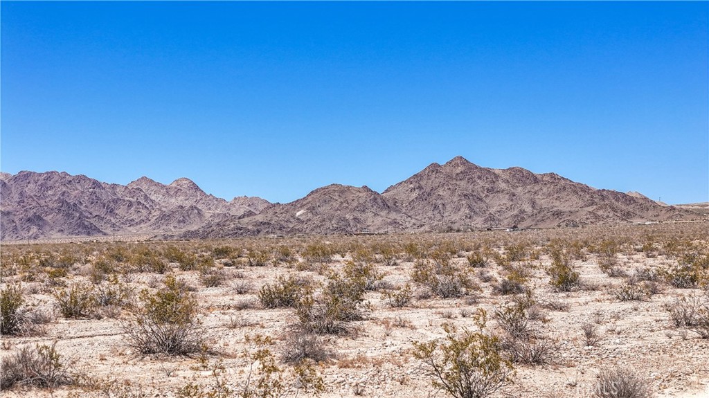 MLS #JT24109700 image #10