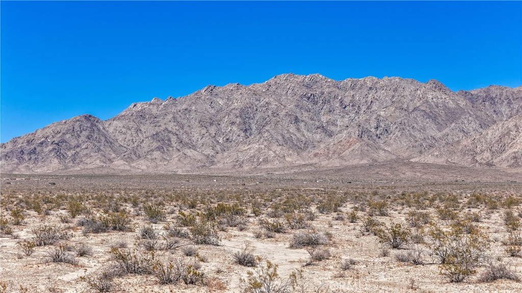 MLS #JT24109700 image #11