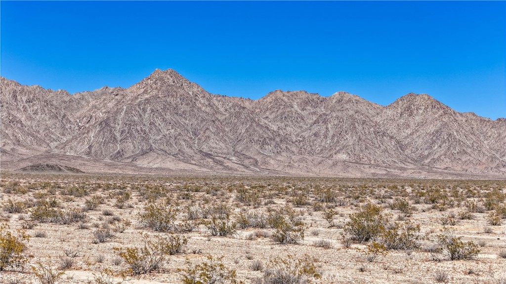 MLS #JT24109700 image #12