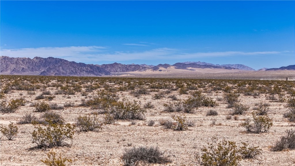 MLS #JT24109700 image #13