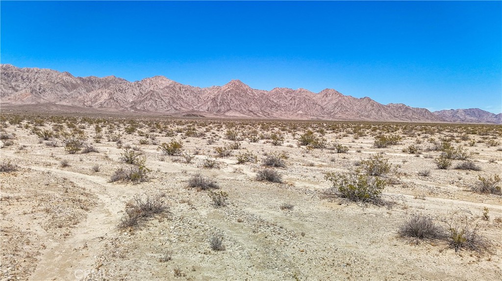 MLS #JT24109700 image #14