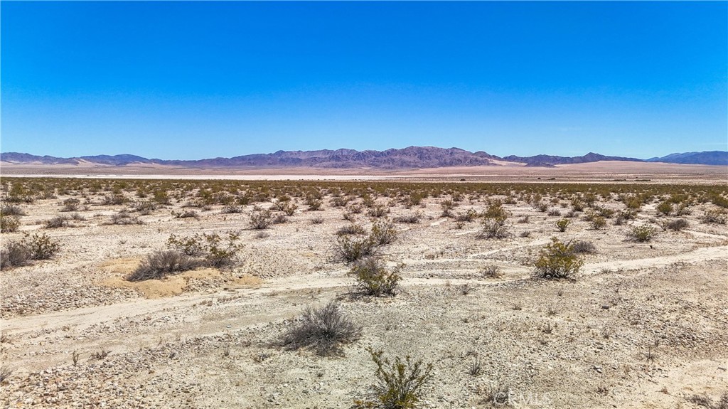 MLS #JT24109700 image #15