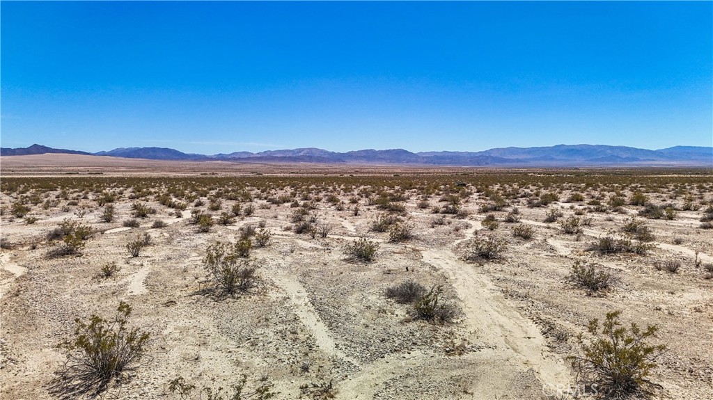 MLS #JT24109700 image #16