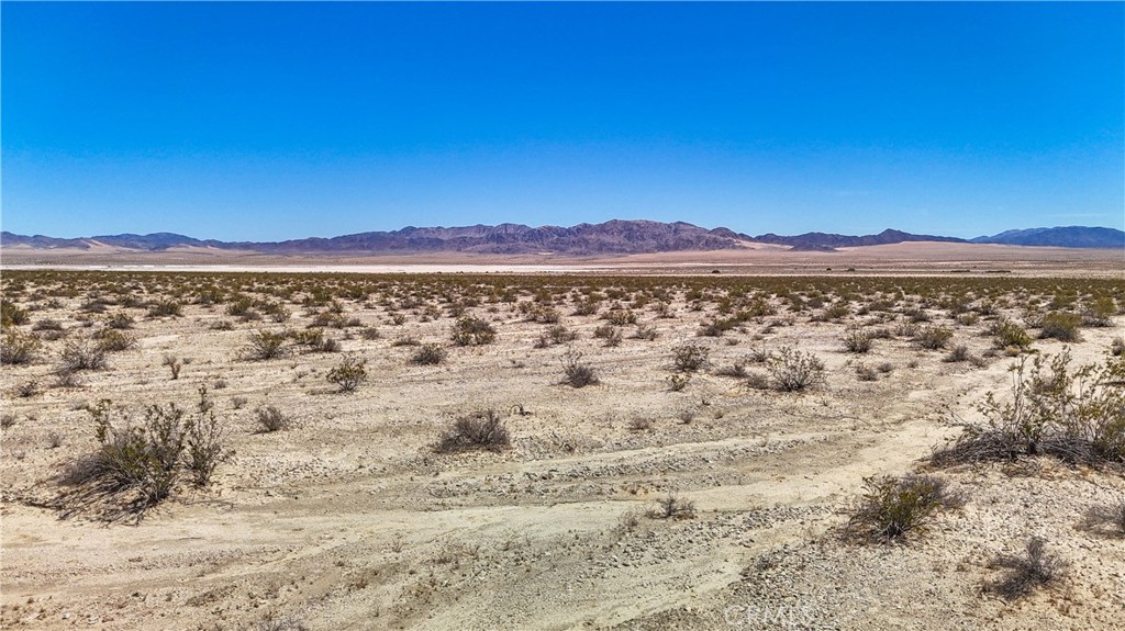 MLS #JT24109700 image #17