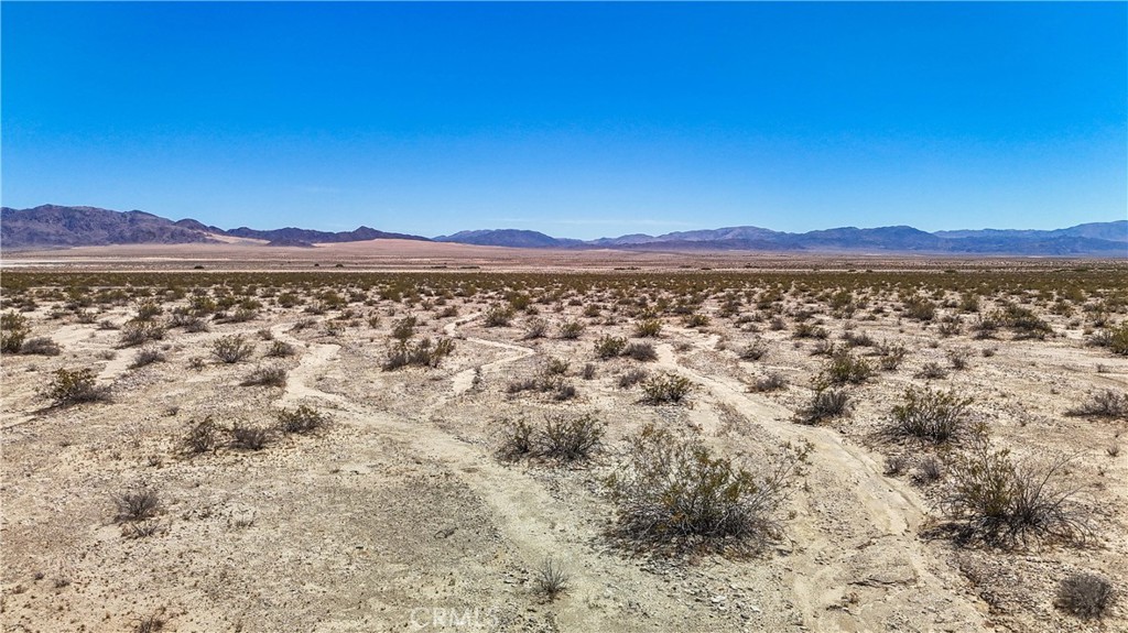 MLS #JT24109700 image #18