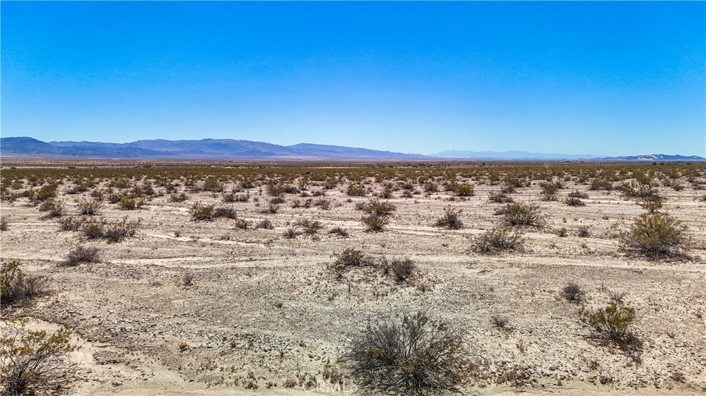 MLS #JT24109700 image #19