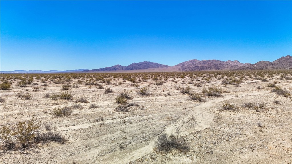 MLS #JT24109700 image #20