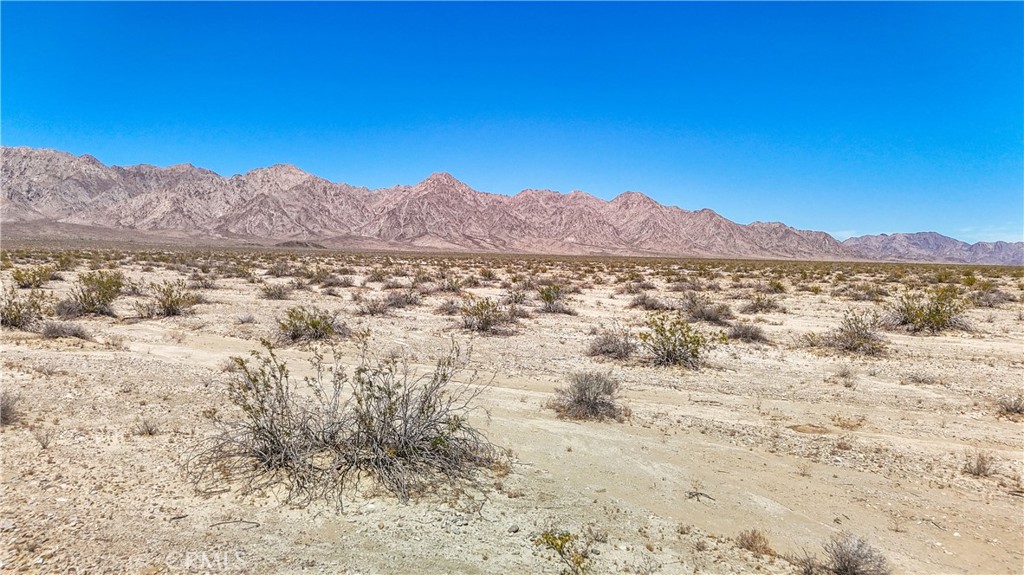 MLS #JT24109700 image #22