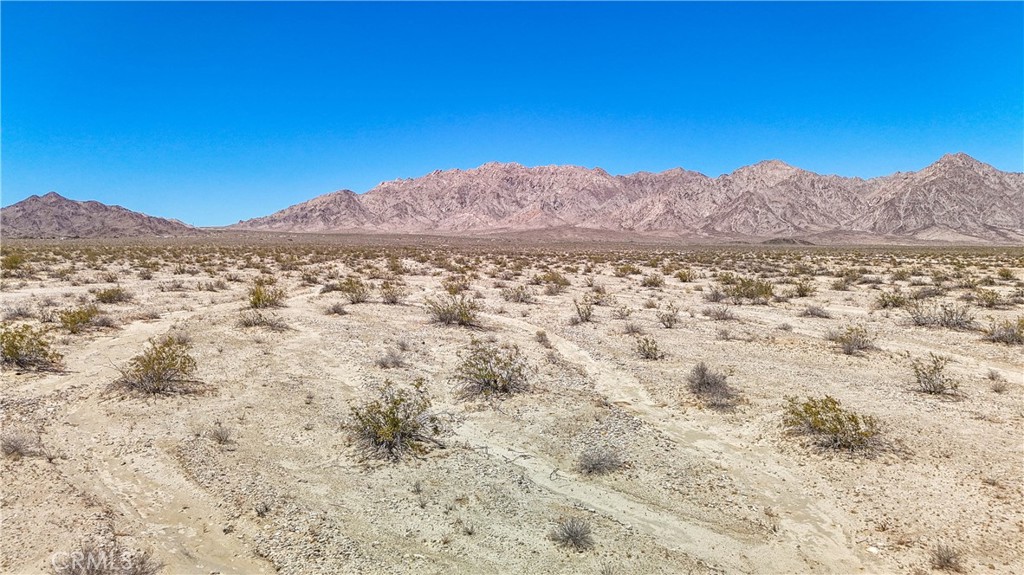 MLS #JT24109700 image #23