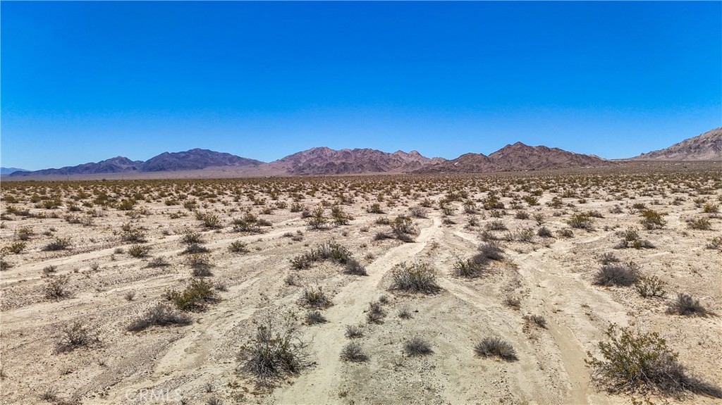 MLS #JT24109700 image #24