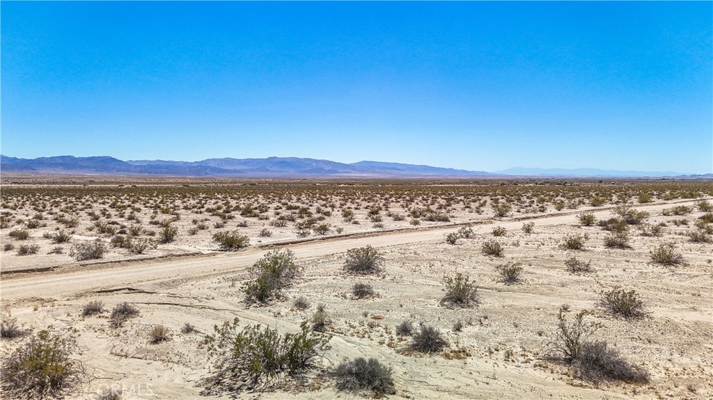 MLS #JT24109700 image #25